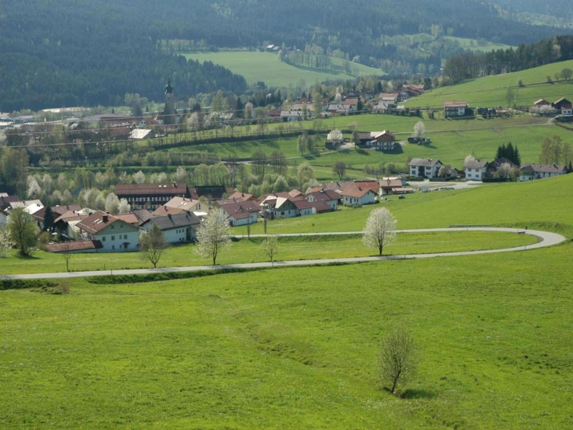 Apartment In The Bavarian Forest With Balcony Drachselsried Extérieur photo