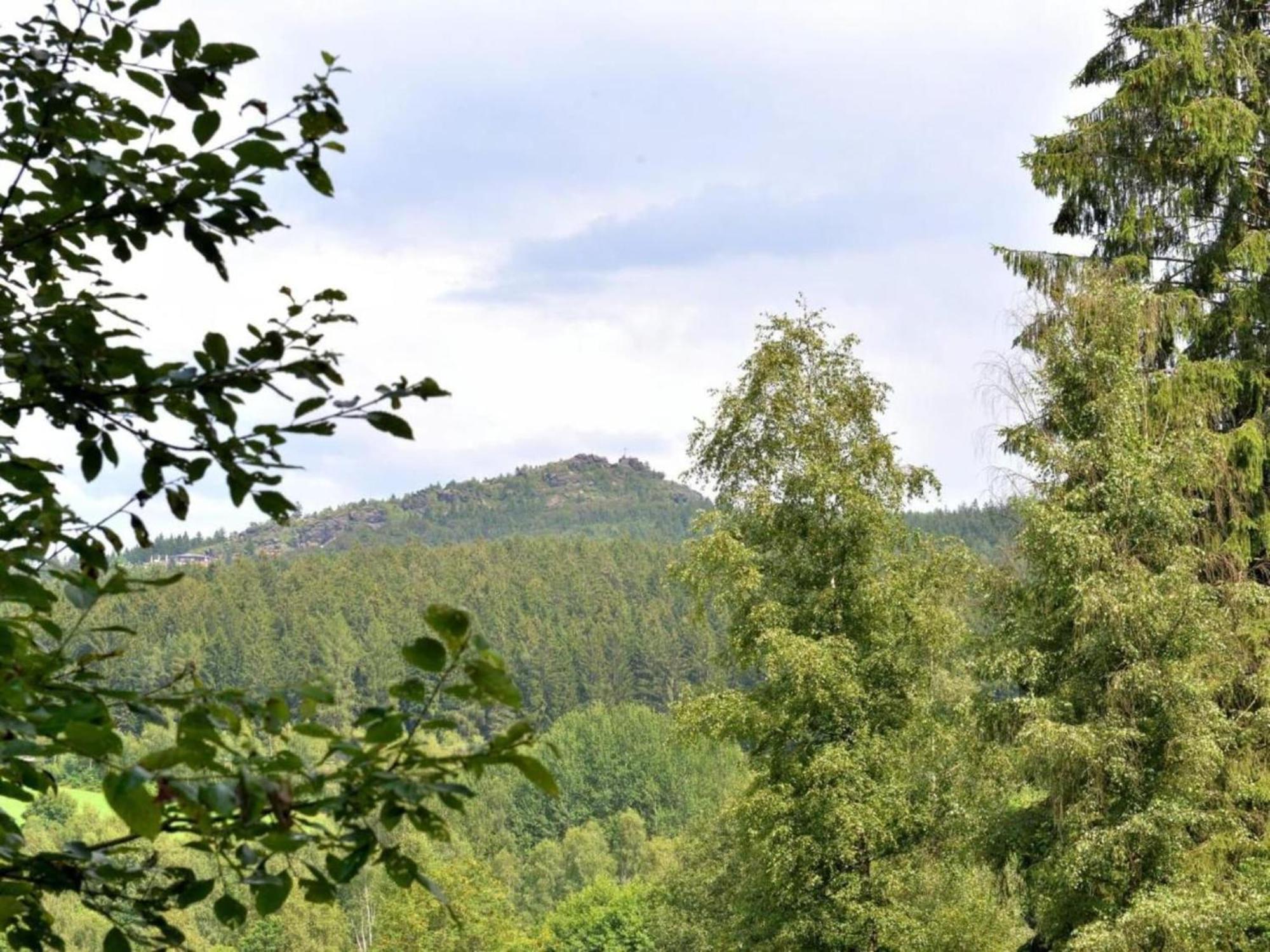 Apartment In The Bavarian Forest With Balcony Drachselsried Extérieur photo