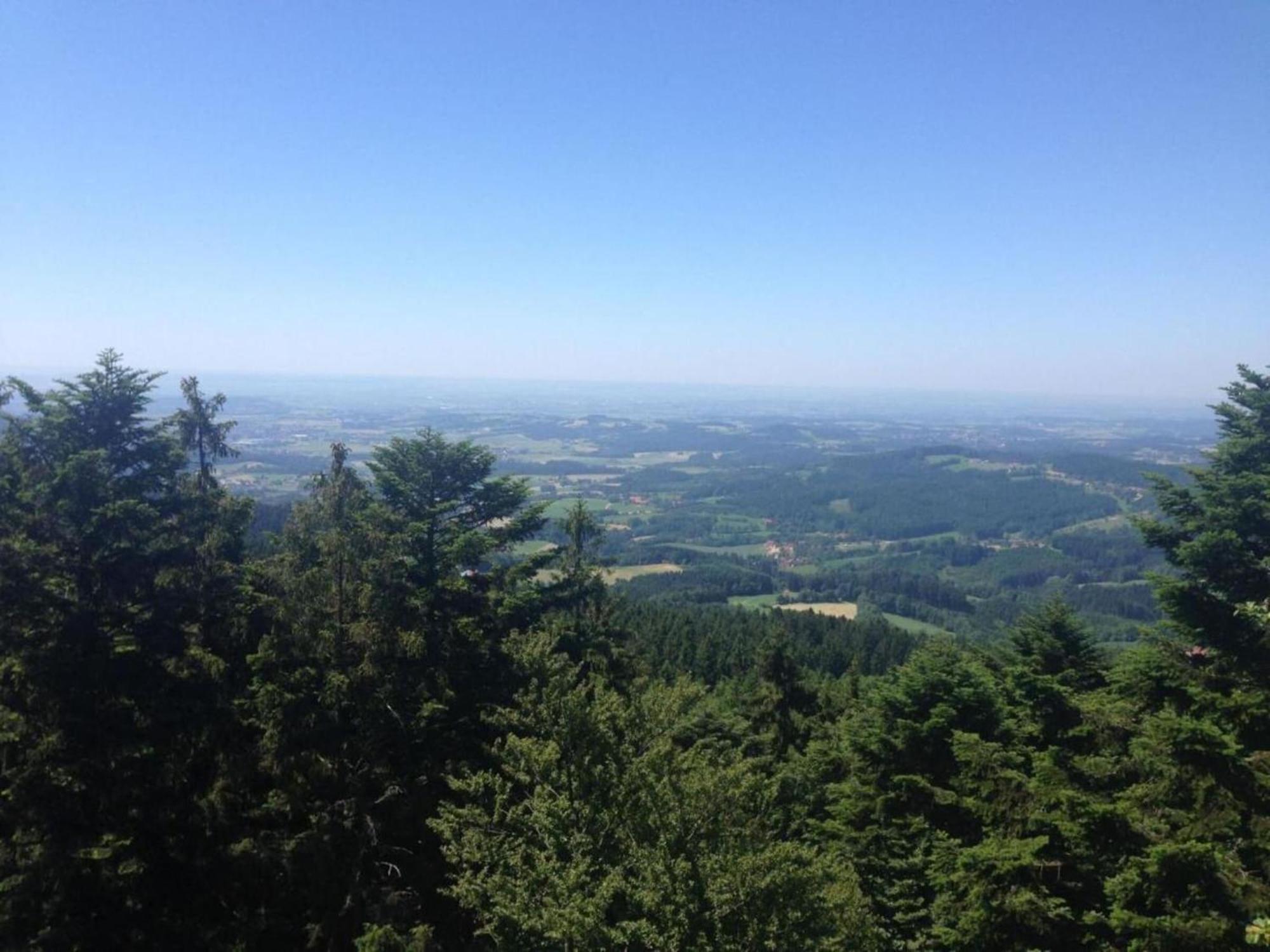 Apartment In The Bavarian Forest With Balcony Drachselsried Extérieur photo